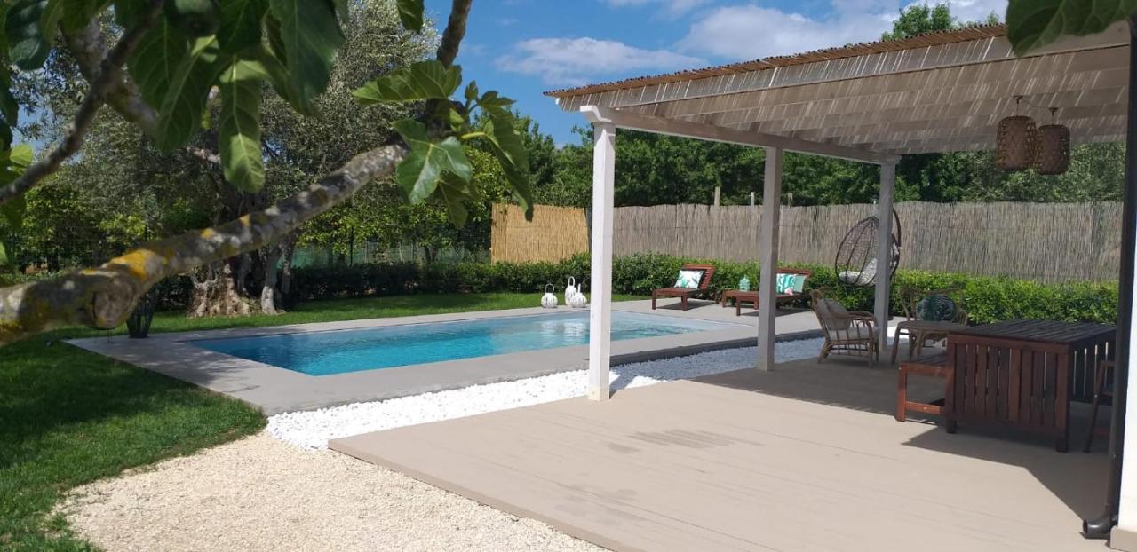 Villa Federica Con Piscina/With Pool 圣玛丽亚德尔法加洛 外观 照片