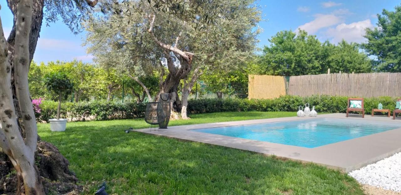Villa Federica Con Piscina/With Pool 圣玛丽亚德尔法加洛 外观 照片
